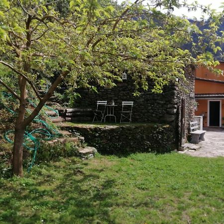 Il Metato Di Gallena Bed and Breakfast Stazzema Eksteriør billede
