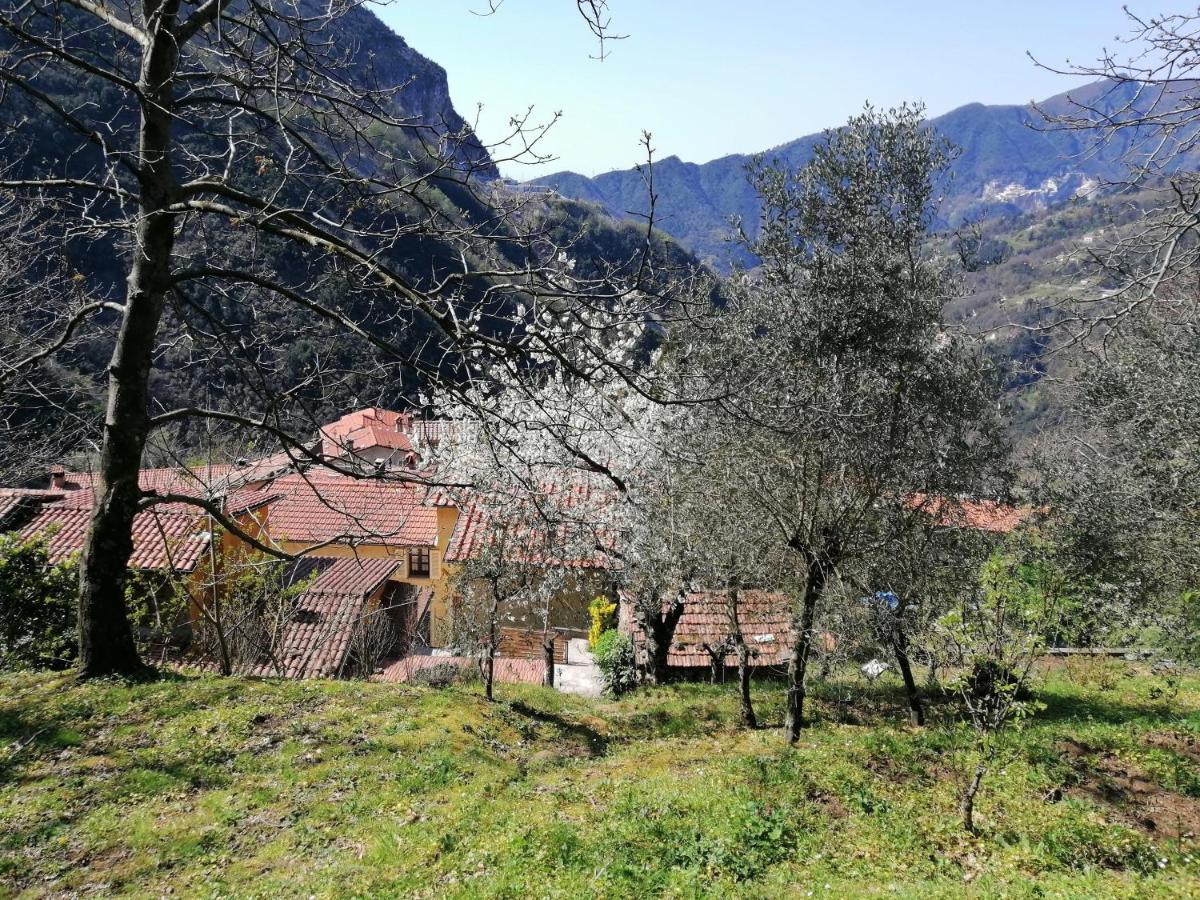Il Metato Di Gallena Bed and Breakfast Stazzema Eksteriør billede