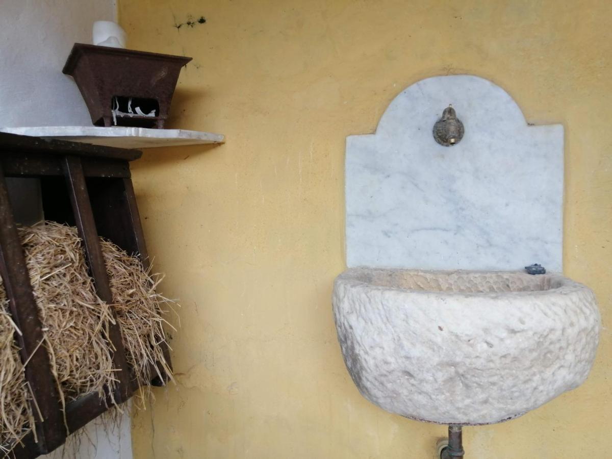 Il Metato Di Gallena Bed and Breakfast Stazzema Eksteriør billede