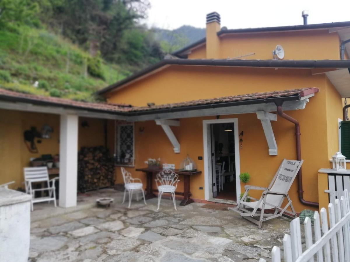Il Metato Di Gallena Bed and Breakfast Stazzema Eksteriør billede