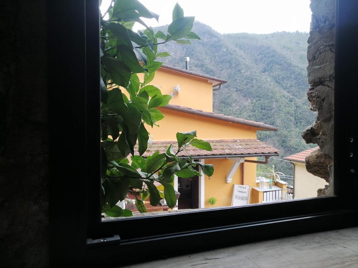 Il Metato Di Gallena Bed and Breakfast Stazzema Eksteriør billede