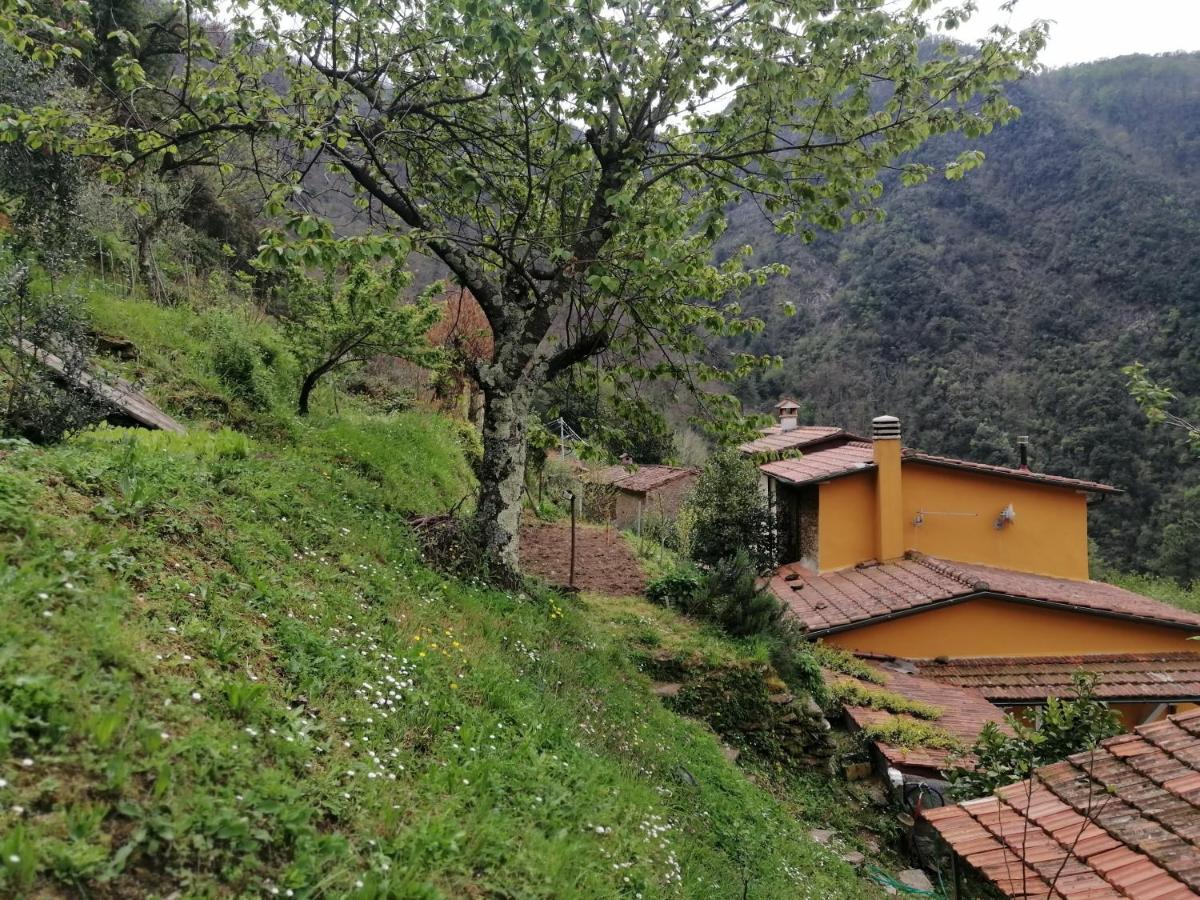 Il Metato Di Gallena Bed and Breakfast Stazzema Eksteriør billede