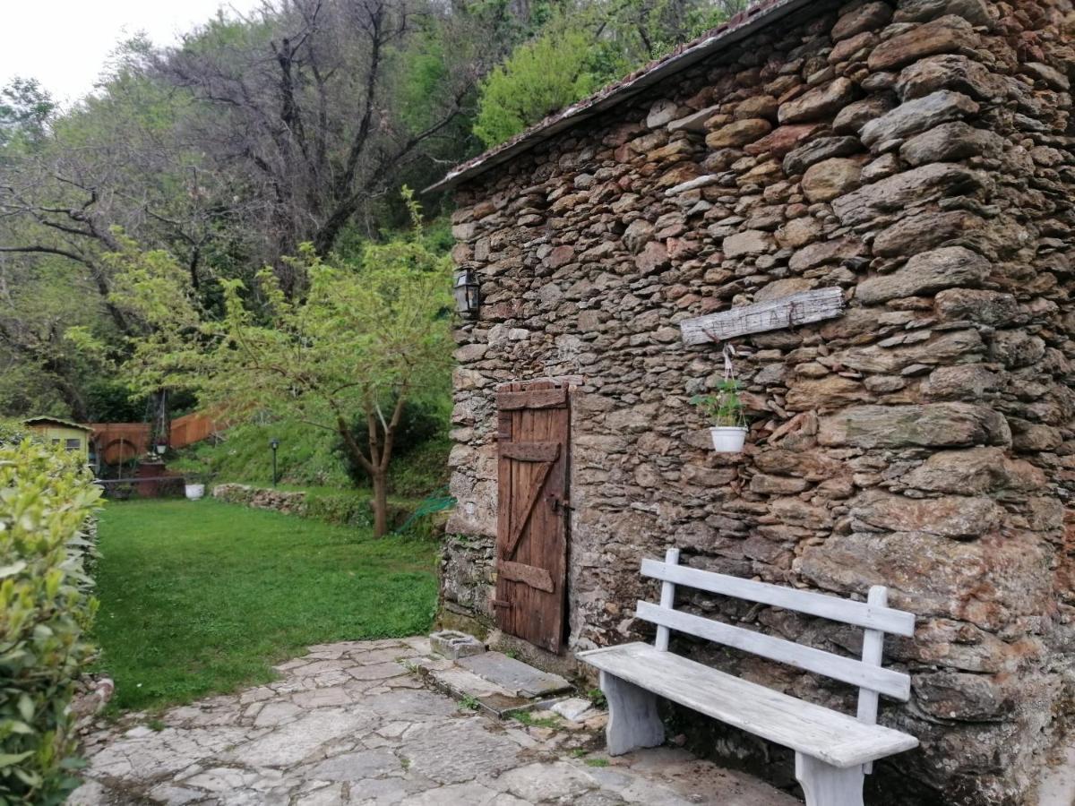 Il Metato Di Gallena Bed and Breakfast Stazzema Eksteriør billede