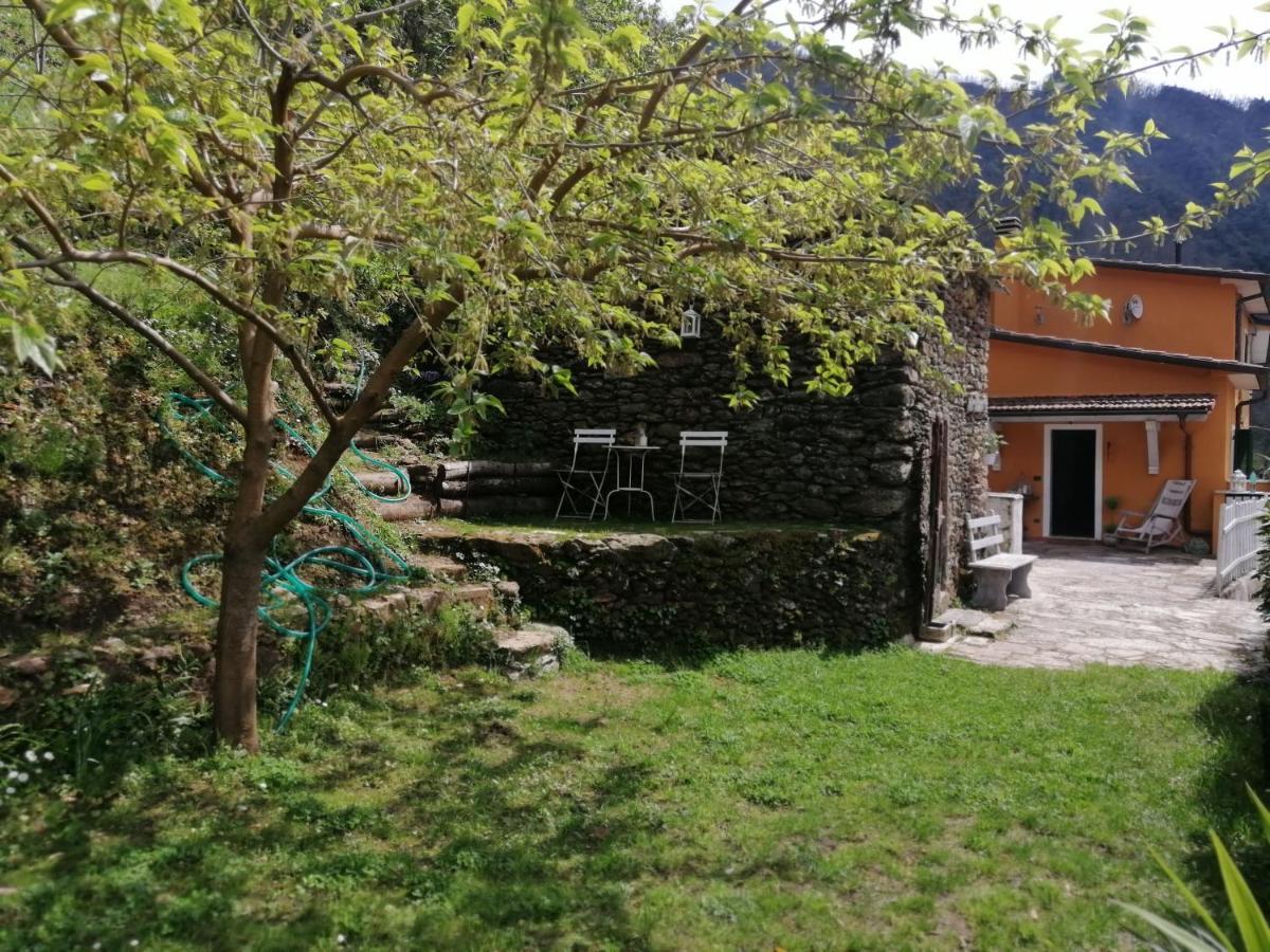 Il Metato Di Gallena Bed and Breakfast Stazzema Eksteriør billede