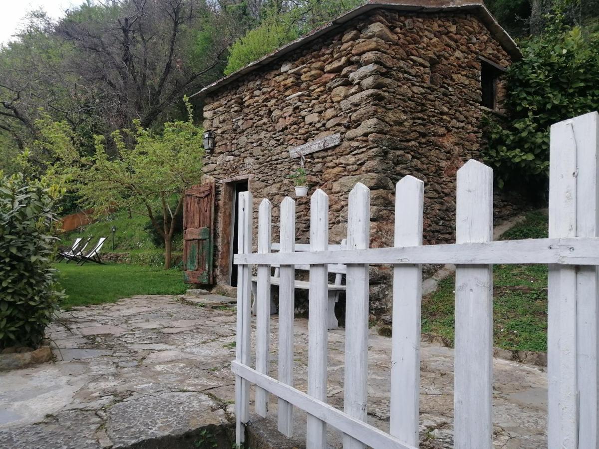 Il Metato Di Gallena Bed and Breakfast Stazzema Eksteriør billede