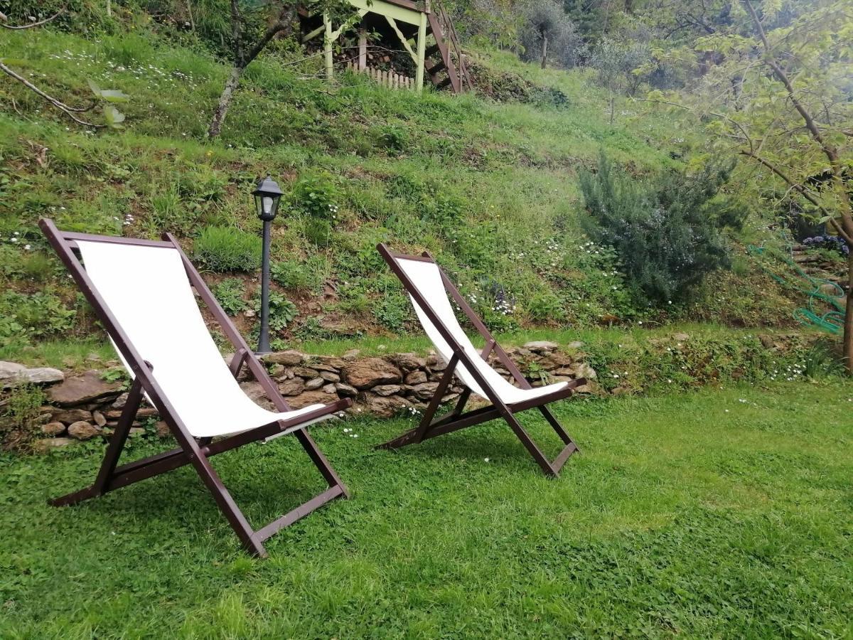 Il Metato Di Gallena Bed and Breakfast Stazzema Eksteriør billede