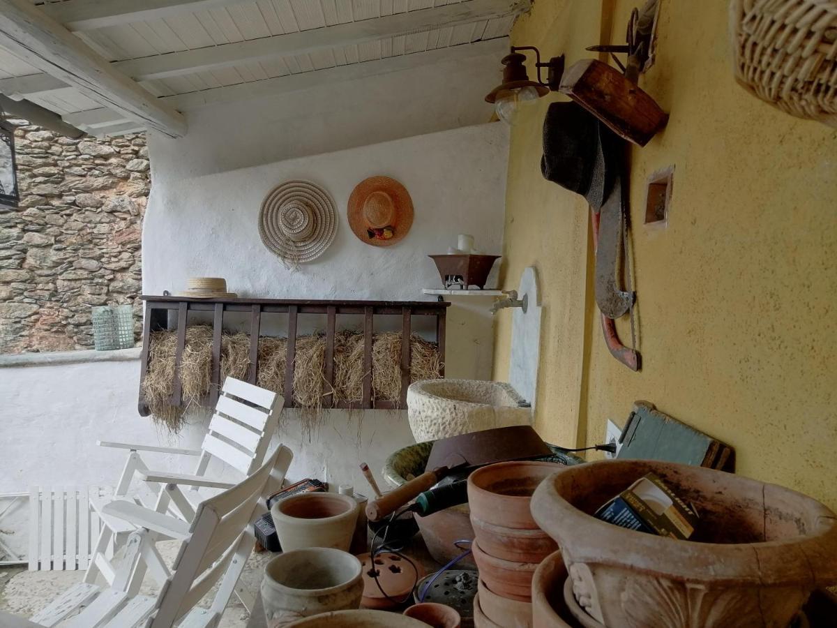 Il Metato Di Gallena Bed and Breakfast Stazzema Eksteriør billede